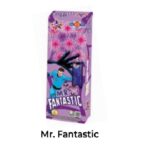 3" 8 Steps Series                                                                 Ajanta